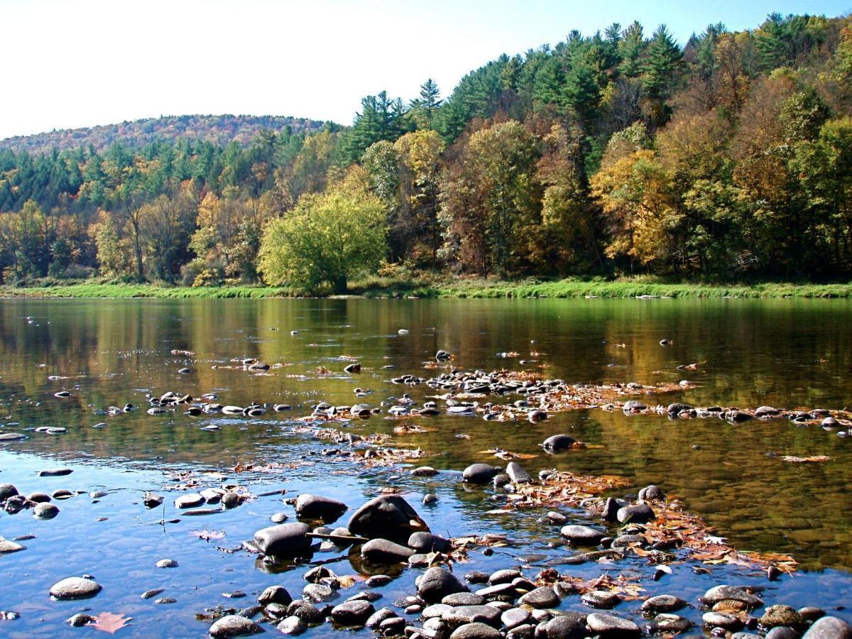 Spacious Home With Deck, Grill And Delaware River View Callicoon Екстериор снимка